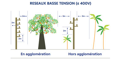 Réseau basse tension EDF élagage