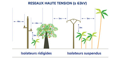 Réseau haute tension EDF élagage